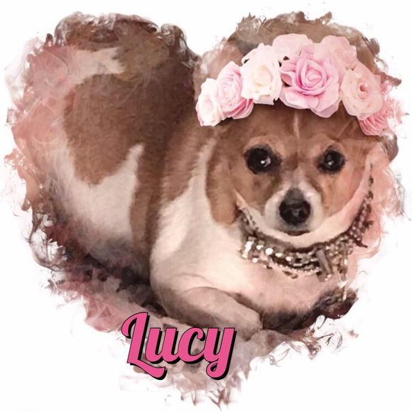 Meet your Posher, Amy - Picture 1 of 1